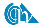 L.V. SRL