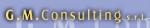 GM Consulting Srl